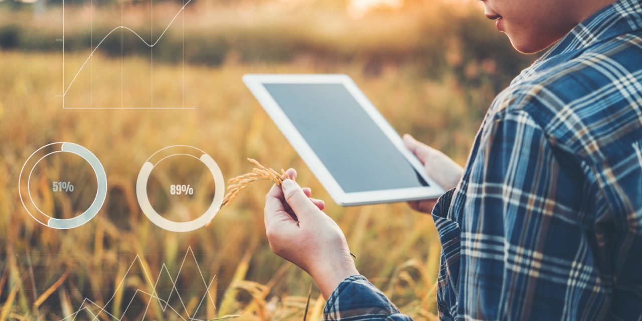https://pattanayakengineering.com/wp-content/uploads/2020/05/pattanayak-engineering-smart-agriculture-1280x640.jpg